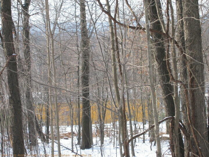 2004-12-22.4605.Deerfield.jpg