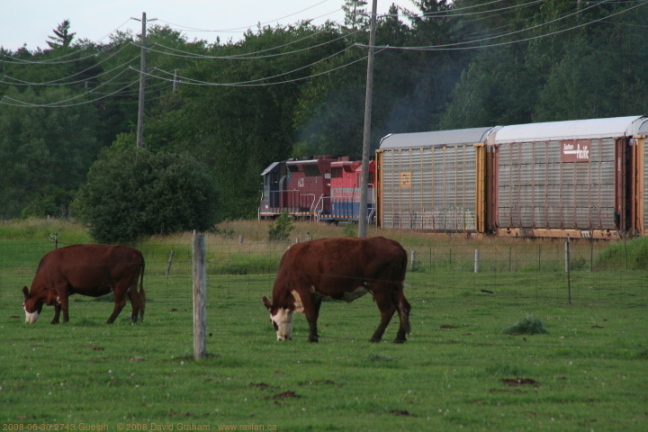 2008-06-30.2743.Guelph.jpg