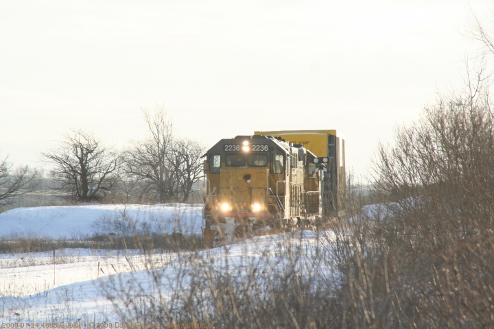 2009-01-24.4885.Guelph.jpg